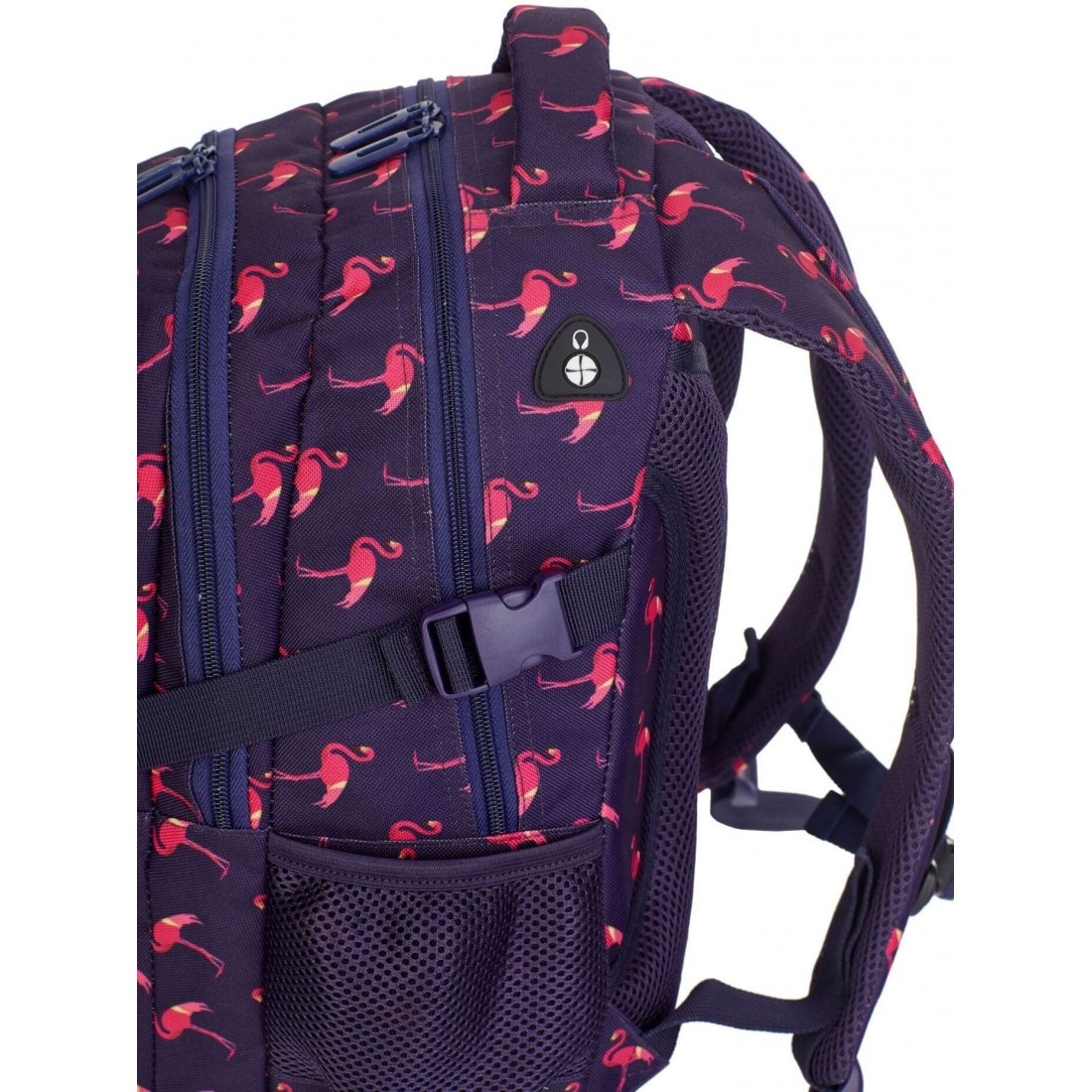 Plecak do 1 klasy dla dziewczynki Hash w różowe flamingi HS-87 - plecak-tornister.pl